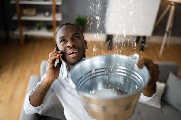 Reliable NM Water damage restoration Solutions