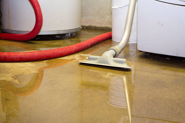 Best 24/7 water damage repair  in Jemez Pueblo, NM