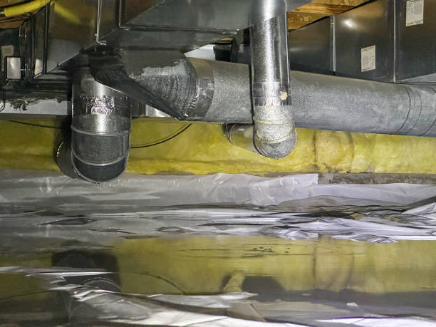 Best Sewage cleanup and water damage restoration  in Jemez Pueblo, NM