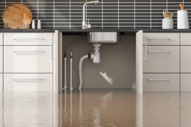 Best Water damage mitigation services  in Jemez Pueblo, NM