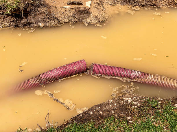Best Flood restoration services  in Jemez Pueblo, NM